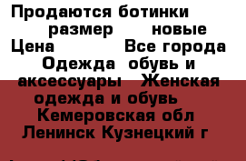 Продаются ботинки Baldinini, размер 37,5 новые › Цена ­ 7 000 - Все города Одежда, обувь и аксессуары » Женская одежда и обувь   . Кемеровская обл.,Ленинск-Кузнецкий г.